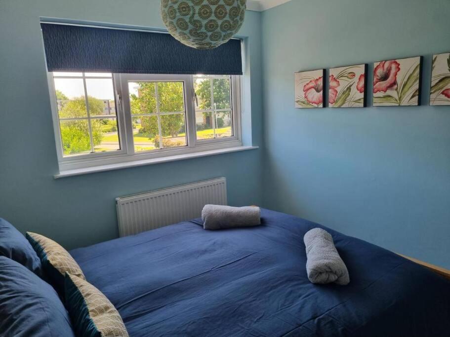 Haven Cottage - Adjacent To Beach And Promenade Walmer Extérieur photo