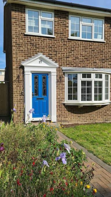 Haven Cottage - Adjacent To Beach And Promenade Walmer Extérieur photo